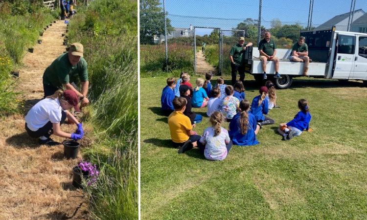 St Martin’s Primary pupils bring GHA meadow to life 